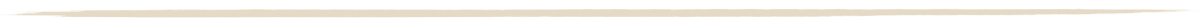 Decorative divider